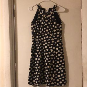 Dark navy and white Loft dress 2p